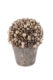 Dekorace ozdobený květináč s žaludy ACORN, přírodnina, zlatá, pr.14x20cm, ks - Vyzdobte v domov ekologicky s naimi FSC certifikovanmi dekoracemi. Krsa s ohledem na produ.