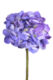 Květina hortenzie, fialová - Objednejte si kvalitn uml kvtiny znaky Ego dekor. Realistick vzhled bez drby. Vyberte si z irok nabdky druh a barev!