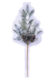 Dekorace větvička SNOW, plast, zelená/bílá, 17x54x10cm, ks - Vnce, vtve a girlandy z prodnch materil pro v domov i zahradu. Objednejte si a uijte si krsn Vnoce.