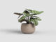 Květináč HEMERA, 20cm, keramika, šedá|TAUPE  (ZAC-829549)