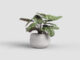 Květináč HEMERA, 20cm, keramika, krémová|CREAM  (ZAC-834277)