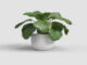 Květináč AURA, 20cm, keramika, bílá|WHITE  (ZAC-835465)