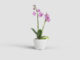 Květináč THALIA, na orchidej, 14cm, keramika, bílá|WHITE  (ZAC-836257)