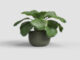 Květináč AURA, 29cm, keramika, zelená|OLIVE GREEN  (ZAC-841237)