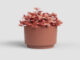 Květináč ECHO, 24cm, keramika, hnědá|TERRACOTTA  (ZAC-844887)