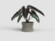Květináč DIANA, 14cm, keramika, šedá|TAUPE  (ZAC-848564)