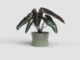 Květináč DIANA, 14cm, keramika, zelená|GREEN  (ZAC-848571)