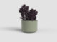 Květináč JUNO, 19cm, keramika, zelená|GREEN  (ZAC-848779)