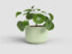 Květináč LUNA, 14cm, keramika, sv.zelená|LIGHT GREEN  (ZAC-848885)