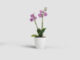 Květináč FIJI, na orchidej, 12,5cm, plast, bílá|WHITE  (ZAP-802184)