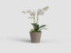 Květináč PORTO, na orchidej, 15cm, plast, šedá|MATTE TAUPE  (ZAP-818833)