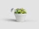 Květináč CAPRI, balkonový, 20cm, plast, bílá|WHITE  (ZAP-825220)