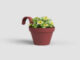 Květináč CAPRI, balkonový, 20cm, plast, červená|DARK RED  (ZAP-825282)