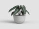 Květináč HAVANA, 20cm, plast, šedá|LIMESTONE GREY  (ZAP-827309)
