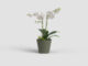 Květináč PORTO, na orchidej, 15cm, plast, zelená|DRY GREEN  (ZAP-828252)