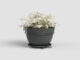 Květináč CAPRI, 20cm, plast, tm.šedá|ANTHRACITE  (ZAP-832914)