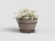 Květináč CAPRI, 20cm, plast, šedá|MATTE TAUPE  (ZAP-832921)