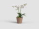 Květináč PORTO, na orchidej, 15cm, plast, tm.béžová|DARK BEIGE  (ZAP-832976)