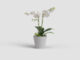 Květináč PORTO, na orchidej, 15cm, plast, sv.šedá|LIGHT GREY  (ZAP-833034)