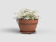 Květináč CAPRI, 20cm, plast, hnědá|TERRACOTTA  (ZAP-838022)