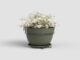 Květináč CAPRI, 20cm, plast, zelená|DRY GREEN  (ZAP-838039)