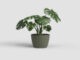 Květináč SAN REMO, 14cm, plast, zelená|DRY GREEN  (ZAP-839975)
