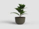 Květináč HAVANA, 20cm, plast, zelená|MOSS GREEN  (ZAP-840681)