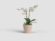 Květináč PORTO, na orchidej, 15cm, plast, růžová|NUDE PINK  (ZAP-843750)