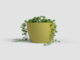 Květináč SAN REMO, 9cm, plast, zelená|AVOCADO GREEN  (ZAP-845181)