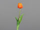 Květina Tulipán, oranžová, 48cm - Vtejte v i krsnch kvtin a rostlin, kter nikdy neuvadnou! Jsou ideln volbou pro lidi skomplikovanm vztahem s ivou vegetac. Uijte si krsu bez starost!