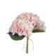 Květina Hortenzie, růžová - Popis se pipravuje - mono na dotaz
