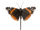 Zvířátka a postavy OUTDOOR Motýl zápich, 3T  (ZEE-37000554)