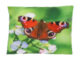 DOP Polštář OUTDOOR Butterfly, 40x40cm, 4T  (ZEE-BK029)