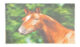 Ubrousky s koněm - Objednejte si ekologick a stylov jednorzov ndob a ubrousky znaky Esschert Design, holandskho vrobce zahradnch produkt.