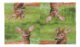 Ubrousky s jelenem - Objednejte si ekologick a stylov jednorzov ndob a ubrousky znaky Esschert Design, holandskho vrobce zahradnch produkt.