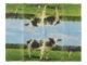 Kapesníky s venkovským motivem, 4T  (ZEE-TP220)
