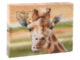 Ubrousky žirafa  (ZEE-TP284)