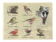 Ubrousky 17x17 Ptáčci  (ZEE-TP311)