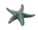 Dekorace hvězdice Blue Sand, keramika, modrá/h - Objevte irokou kolekci stojatch dekorac pro v domov. Kvalitn materily a originln design. Inspirujte se na naem e-shopu.