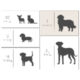Pelíšek pro psa s okrajem 70x60x20cm, DOG COCOON, ochre  (ZVB-43242.706020.56)
