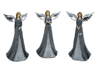Anděl s šedými šaty, V, 3T  (EGO-711532)