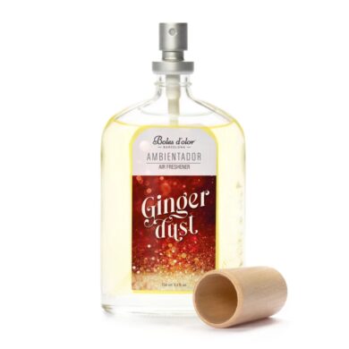 Osvěžovač vzduchu 100 ml. Ginger Dust  (ZBD-0134095)