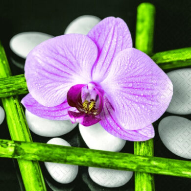 Ubrousky 3V - orchidej 33x33cm  (ZCL-LN0870)