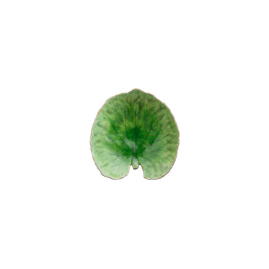 Miska Lístek 18cm, RIVIERA, zelená|Tomate  (ZCN-VEP181-TMT)