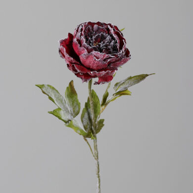 Květina Pivoňka, červená zasněžená, 77cm  (ZDP-25111-02)