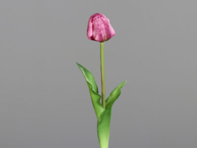 Květina Tulipán, fuchsiová, 48cm  (ZDP-35931-17)