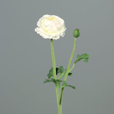 Květina Pryskyřník květ/poupě, bílá-krémová, 50cm  (ZDP-43578-05)