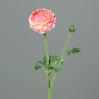 Květina Pryskyřník květ/poupě, růžová, 50cm  (ZDP-43578-31)