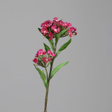 Květina Hvozdík, růžová, 60cm  (ZDP-43710-03)