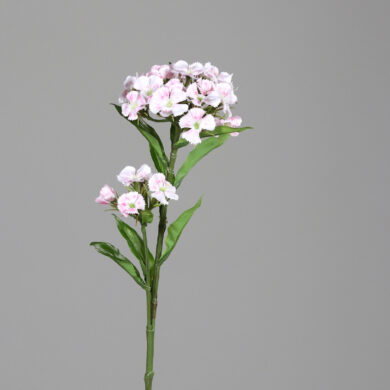 Květina Hvozdík, bílá-růžová, 60cm  (ZDP-43710-35)